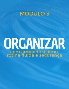 Módulo 3 Organizar