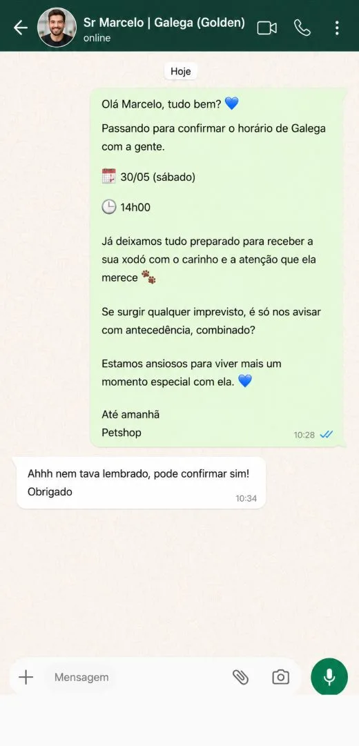 Conversa: agendamento confirmado sem falta