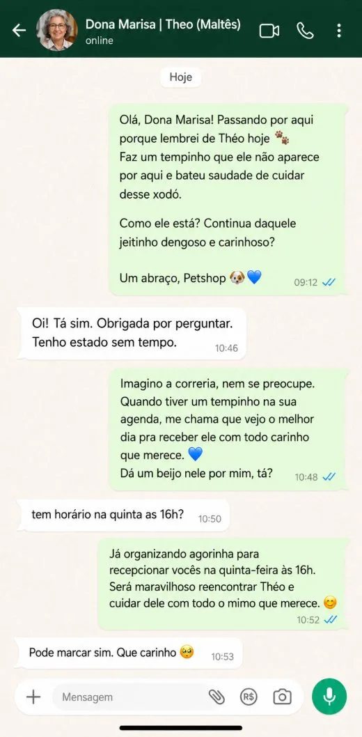 Conversa: tutora que sumiu há meses volta a agendar